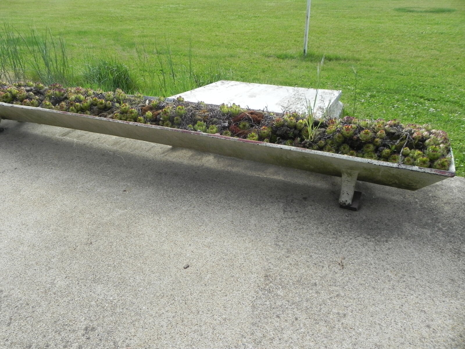 DSCN1380