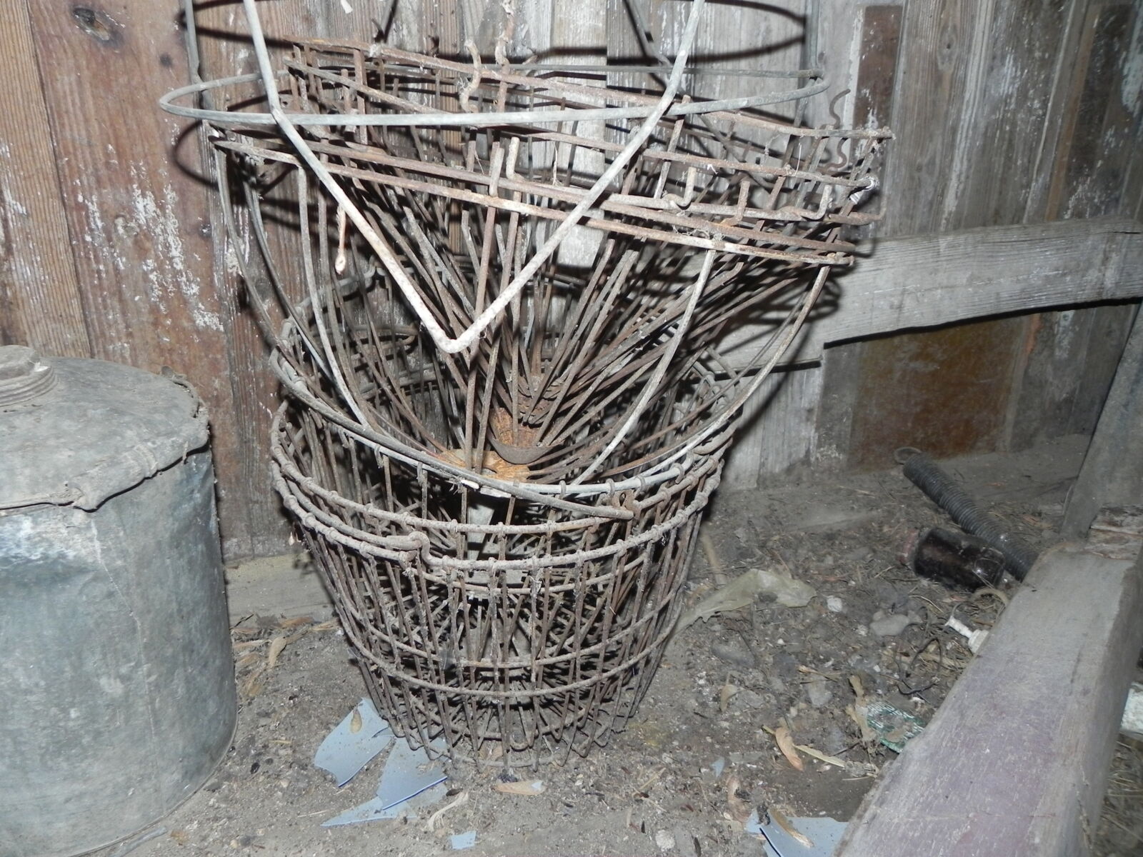 DSCN1481