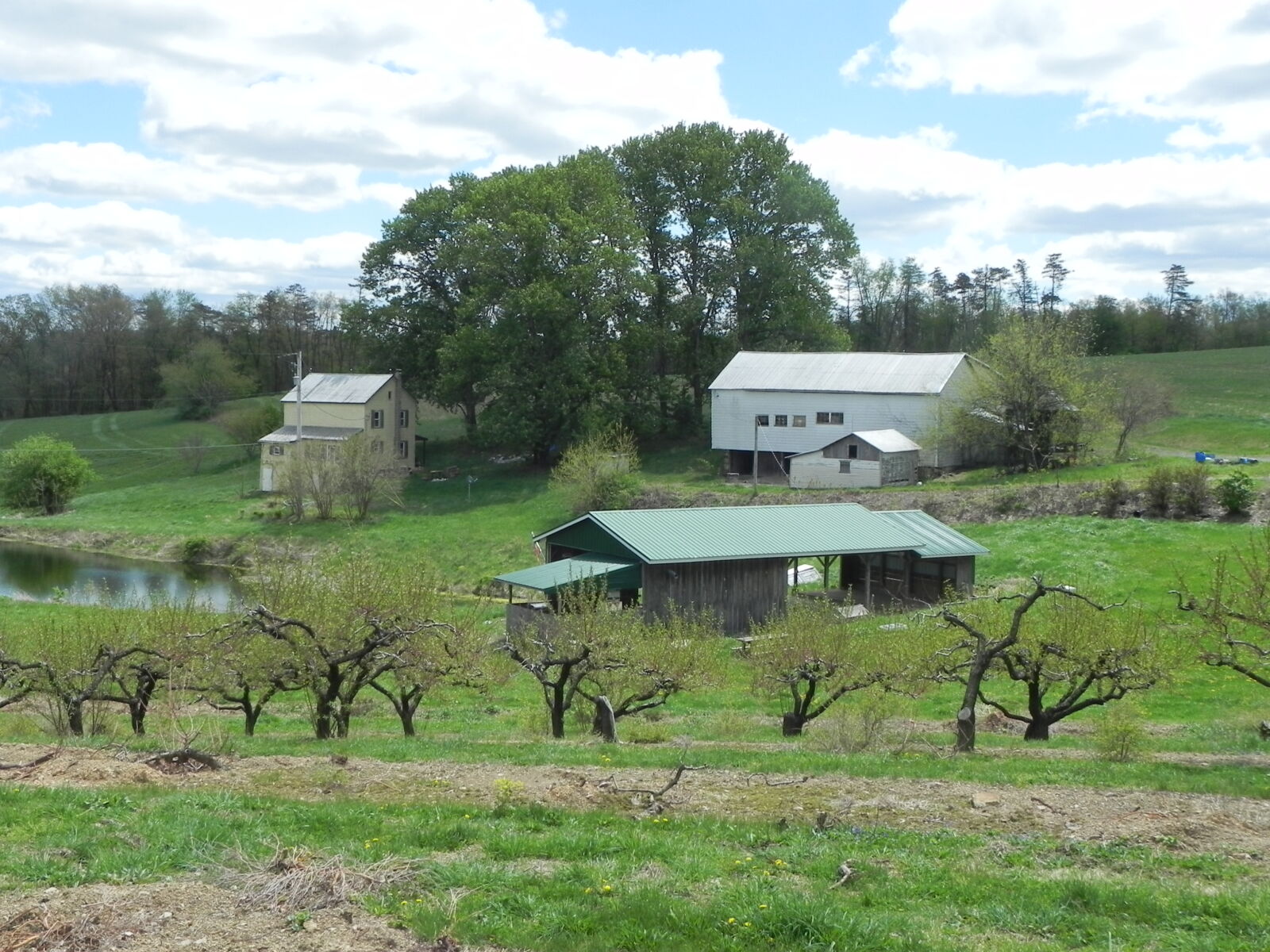 33 ACRE FARM AUCTION - MT. PLEASANT MILLS, PA / TUE. JUNE 30, 2026 @ 6:00 PM