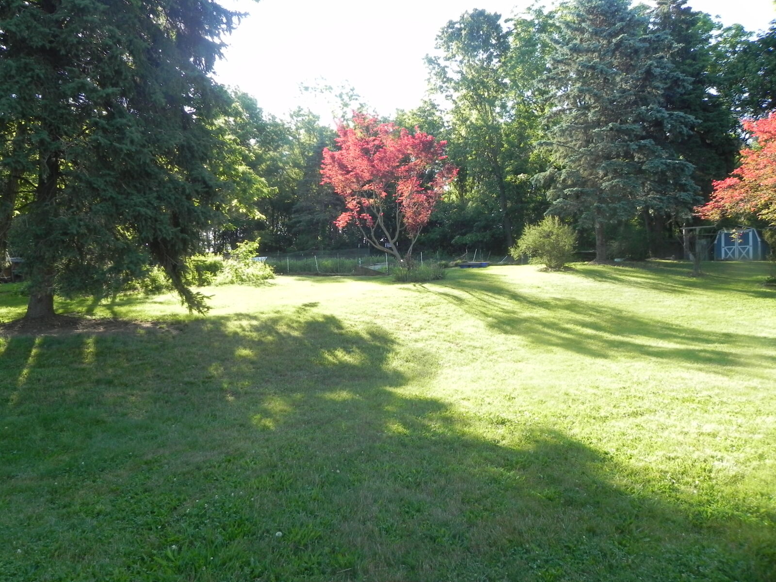 DSCN1729