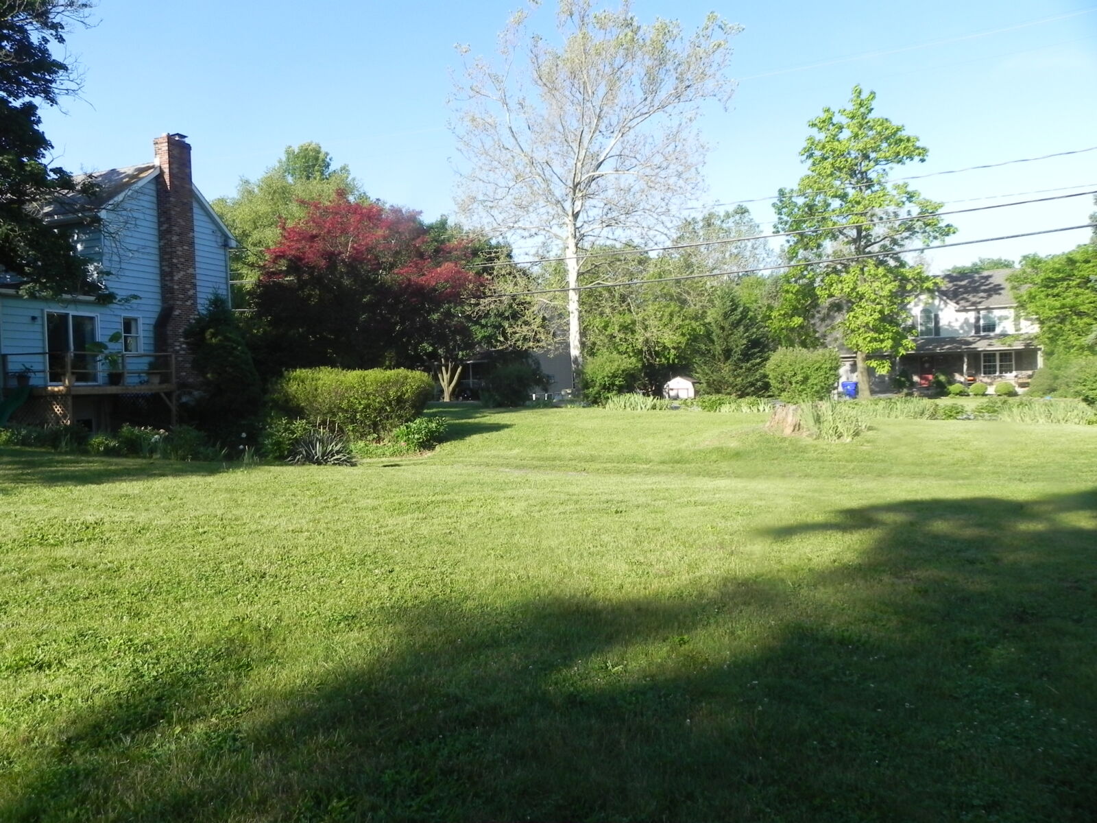 DSCN1731