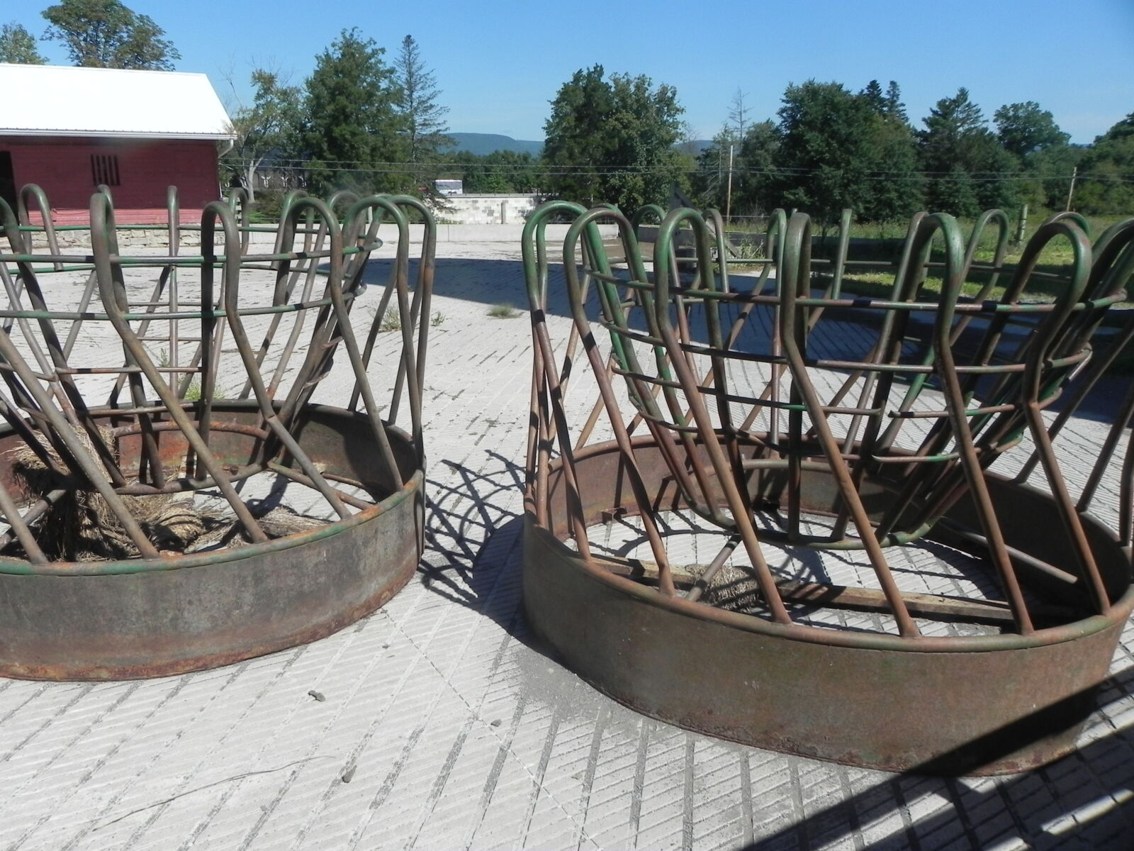DSCN4652